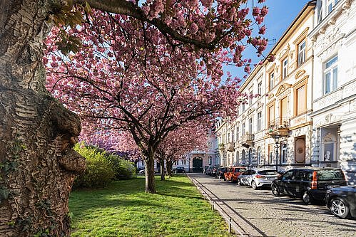 Das Krefelder Paradoxon