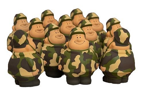 Politik zwischen Peinlichkeit und Pflicht: Musterung im Tollhaus