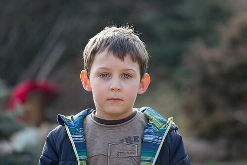 Überleben in der Wildnis: Achtjähriger muss sich selbst retten