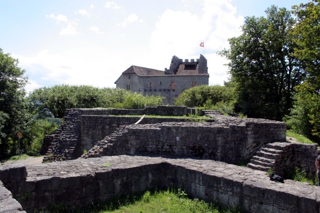 verblasste-macht-i-die-hohenzollern-und-die-habsburger