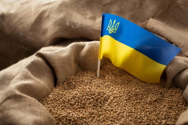 Der polnisch-ukrainische Weizenkrieg